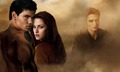 new moon (without tag) - twilight-series photo