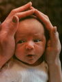  Photoshoots > OK Magazine (March 1997) - michael-jackson photo
