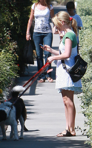  Anna walking her anjing