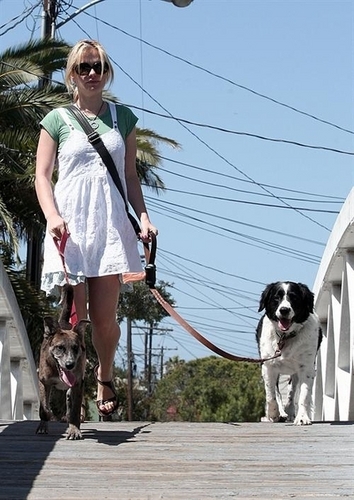 Anna walking her Собаки