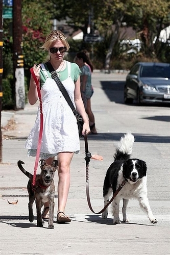  Anna walking her कुत्ता