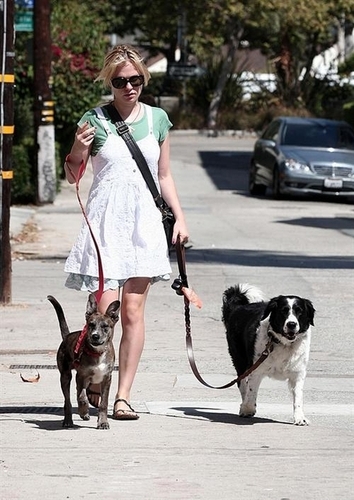  Anna walking her कुत्ता