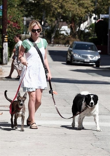 Anna walking her dogs