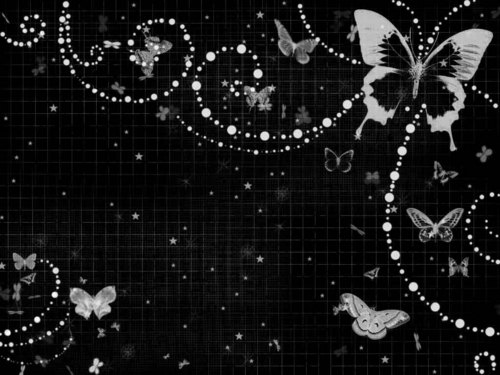  Schmetterlinge And Pearls