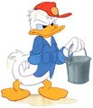 Donald Duck - disney photo