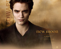 twilight-series - Edward Cullen GREEN EYED New Moon wallpaper