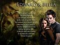 Edward and Bella  - edward-and-bella photo