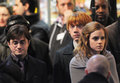 HP and DH set - harry-potter photo