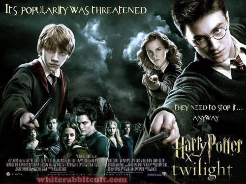  Harry Potter VS Twilight