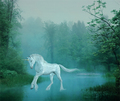 Mystical Waters - unicorns photo