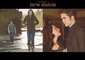 New Moon Wallpaper from Calender - twilight-series photo