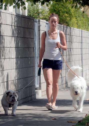  Olivia, Walking Her Anjing