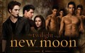 Twilight and New Moon :) - twilight-series photo