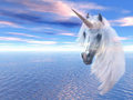 Floating - unicorns photo