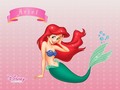the-little-mermaid - ARIEL wallpaper