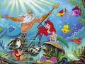 Walt Disney Wallpapers - The Little Mermaid - the-little-mermaid wallpaper