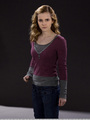Hermione in HBP - harry-potter photo
