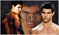 Jacob Black - twilight-series fan art
