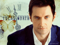 richard-armitage - Lucas North- I only ask to be free wallpaper