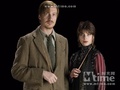 Lupin and Tonks in HBP - harry-potter photo