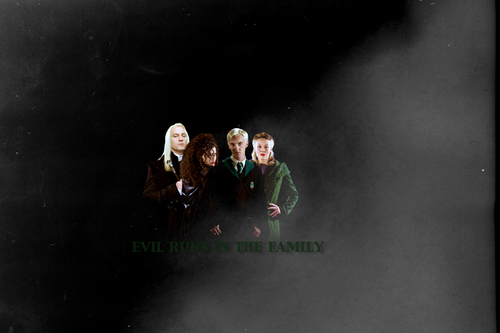Malfoy Family and Bellatrix
