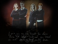 Ron, Hermione, Harry, and Ginny - harry-potter photo