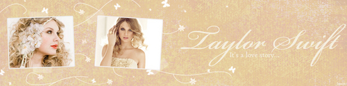 Taylor Swift Banner
