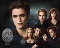 The-Cullens-Coven - twilight-series wallpaper