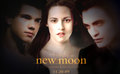 The New moon lover - twilight-series photo