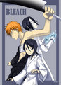 bleach anime - bleach-anime photo