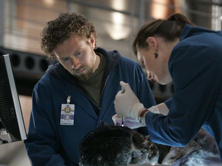  BONES（ボーンズ）-骨は語る- Season 1 HQ Episode Promo Pictures[Some Unknown]