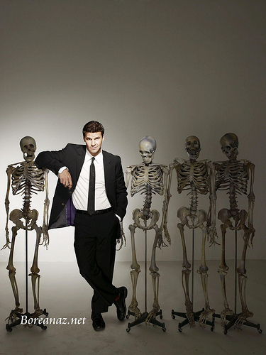 Bones Season 3 Unknown Promo Pictures