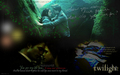 Edward&Bella - twilight-series wallpaper