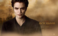twilight-series - Edward Cullen!!<33 wallpaper