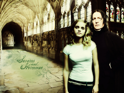  Hermione and Snape