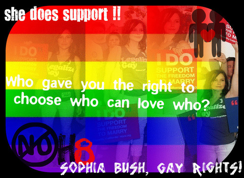 Role Model Sophia Bush 