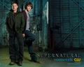 supernatural - SPN * D&S wallpaper