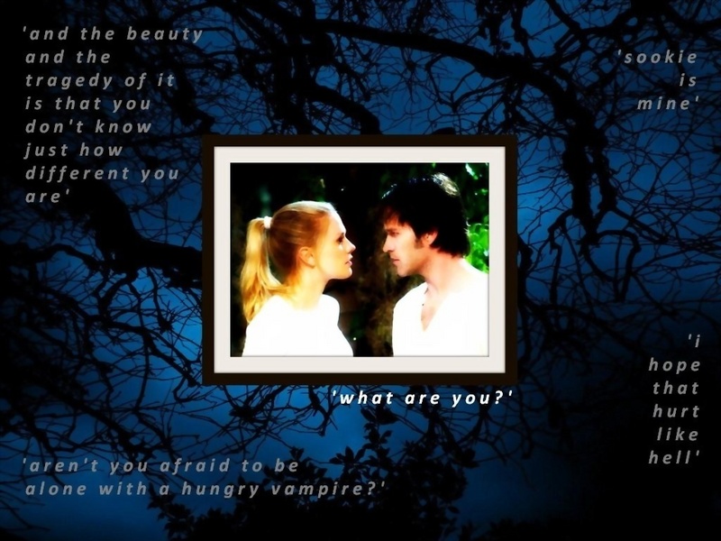 true blood wallpaper bill and sookie. Sookie amp; Bill - What Are You