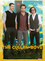 The Cullen Boys ;* - twilight-series fan art