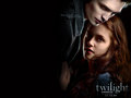 Twilight and NM - twilight-series photo