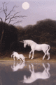 Baby Unicorn Drinking By The Lake - unicorns photo