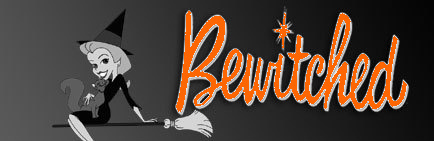 Bewitched Banner
