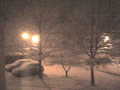 snow fall at night - photography photo
