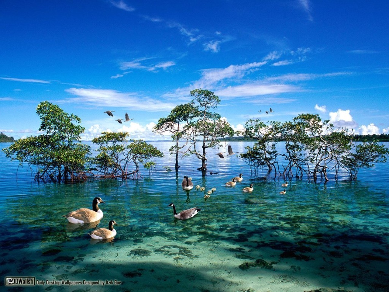 National Geographic Amazing Nature Wallpapers