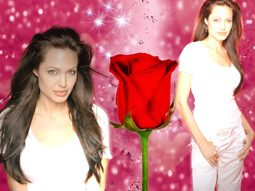  Angelina Jolie 1024x768