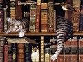 Cat Tales #9 wallpaper - cats wallpaper