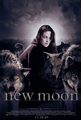 Eclipse and new moon fanmade posters - twilight-series fan art