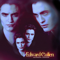 Edward Cullen - twilight-series fan art