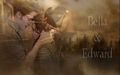 edward-and-bella - Edward and Bella wallpaper