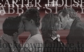 house-md - GC round 31 (numbs entry) Carter and Abby/ House and Stacy wallpaper